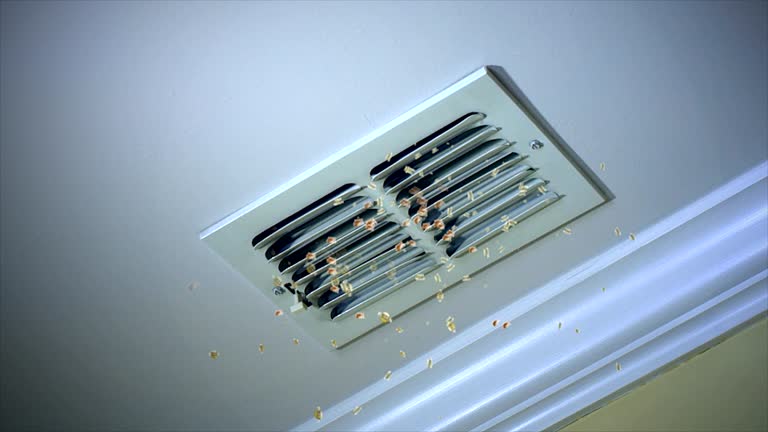 Best Air Vent Cleaning Services  in Attica, MI